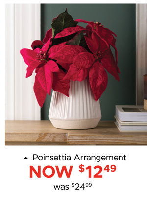 Poinsettia Arrangement