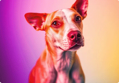 AI ImageGen