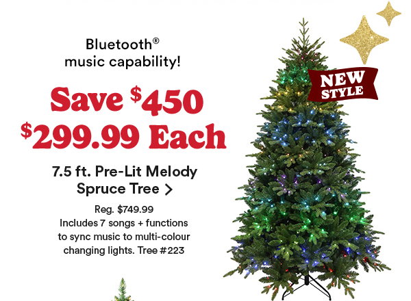 melody spruce tree