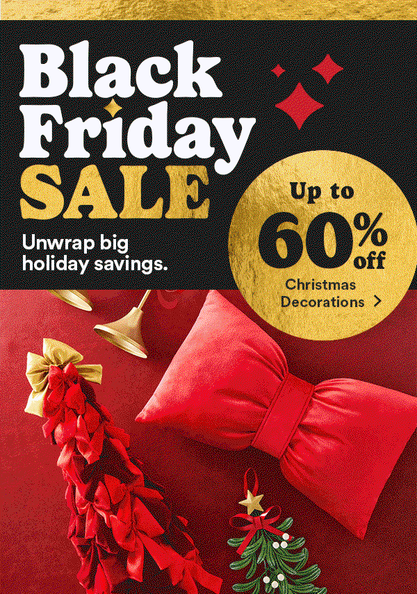 Black Friday Sale