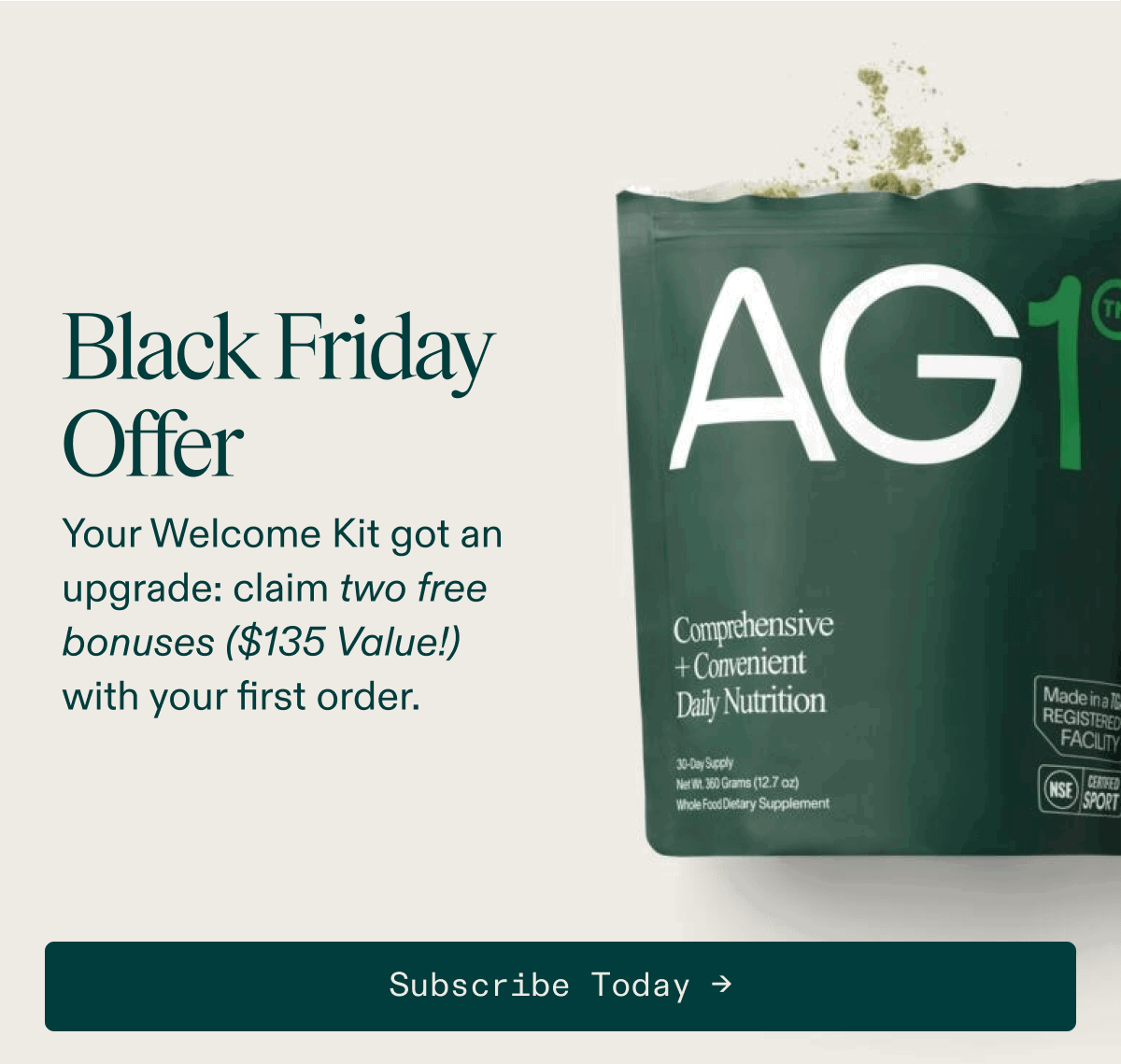 Black Friday Offer
