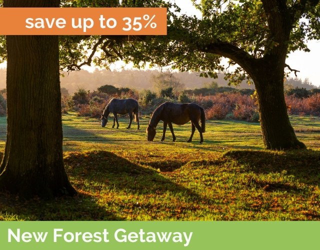 New Forest Getaway - Best Western Chilworth Manor