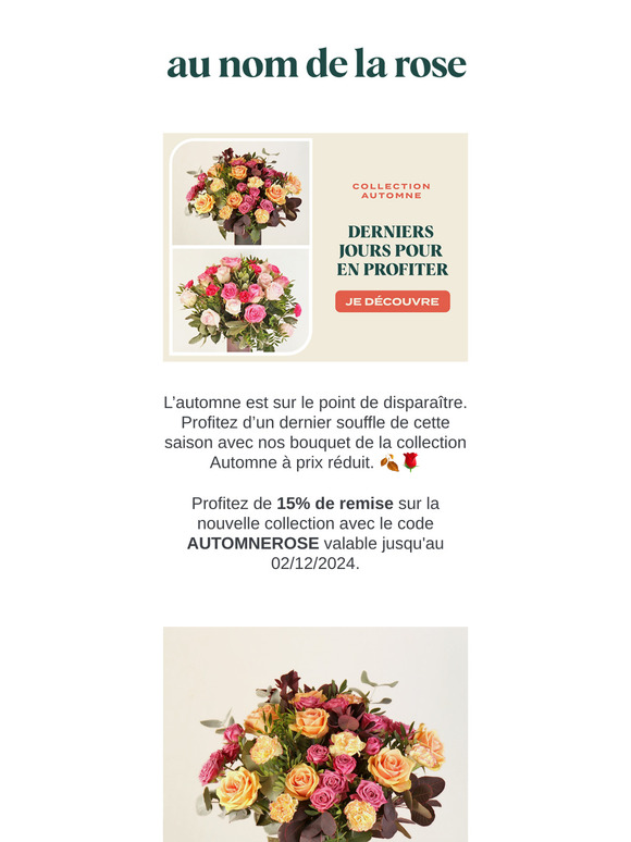 -15% pour la dernière semaine de la collection automne !