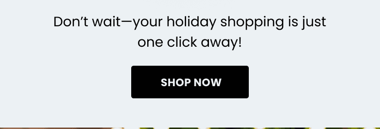 Don't wait - your holiday shopping is just one click away! SHOP NOW