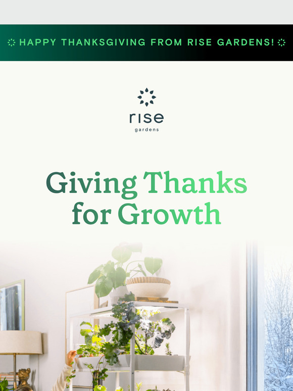 Happy Thanksgiving From Rise Gardens!✨
