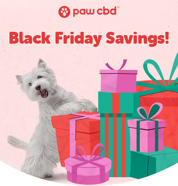Black Friday Savings!