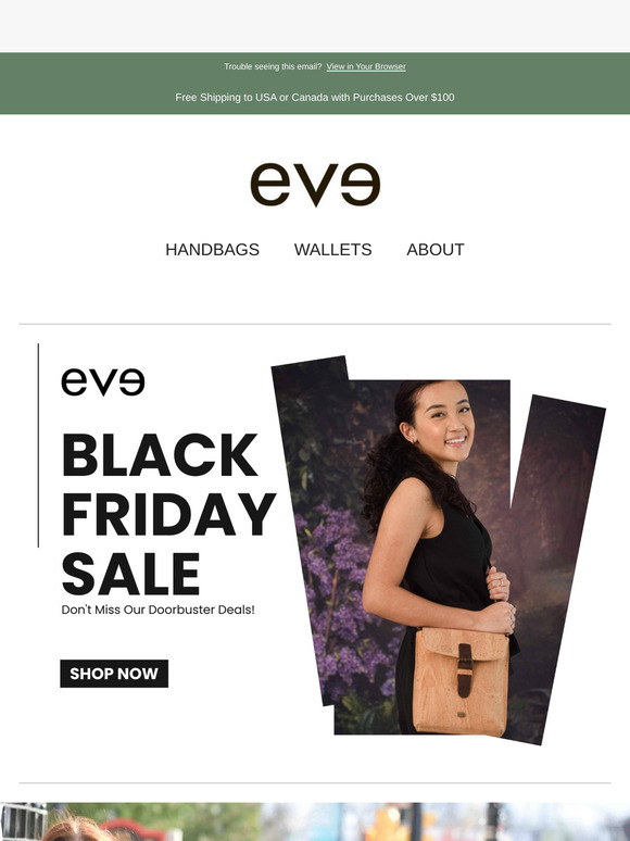 Black Friday Sale