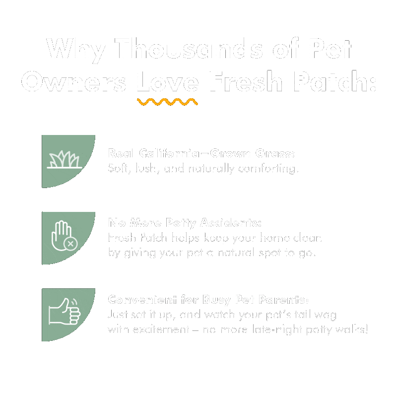 Why pet owners love fresh patch