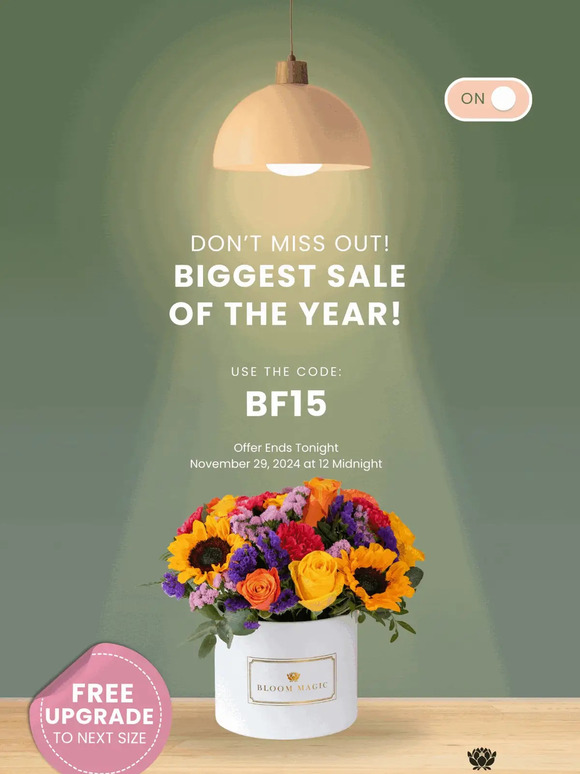 Last Chance to redeem your 15% OFF ✨