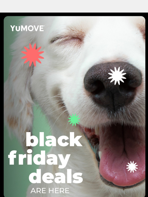 ⚡Black Friday: Save on Joint Support for Your Dog