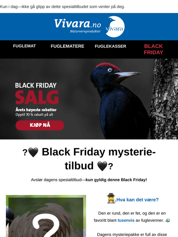 🔎 Black Friday Mystery-tilbud!