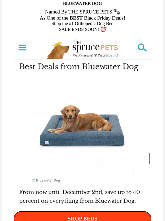 As Seen in The Spruce Pets... Only 2 Days left to get up to 40% OFF!