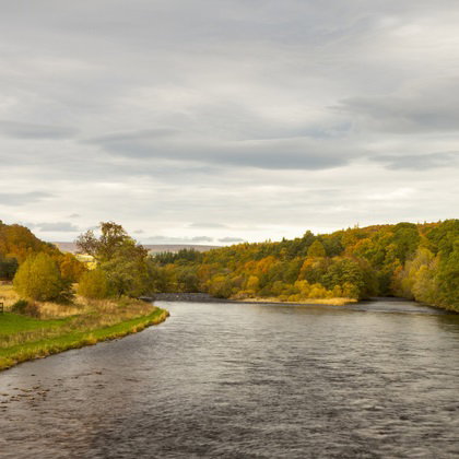 Speyside Whisky