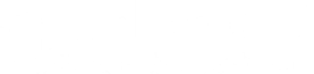 squid socks
