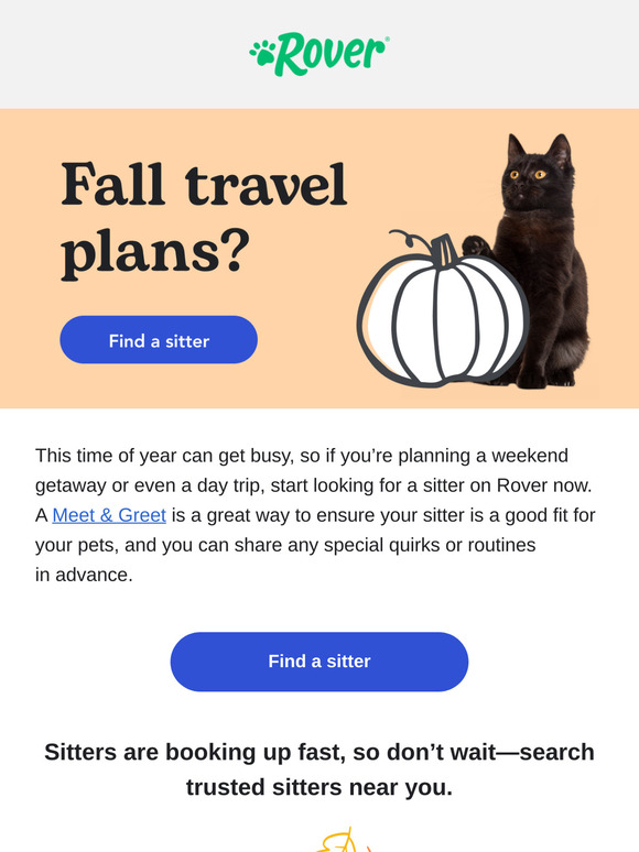 Don’t snooze on a fall pet sitter for your pet