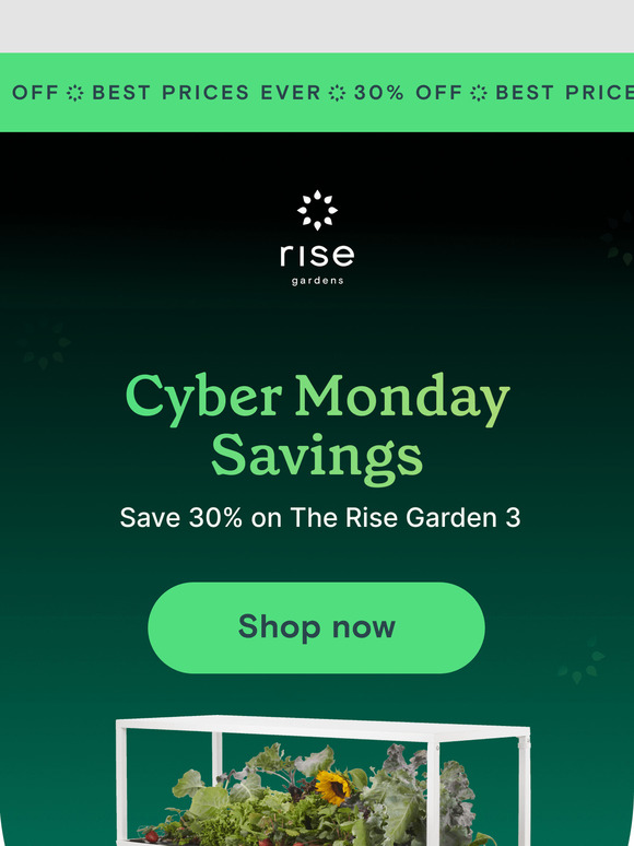 RISE GARDENS CYBER MONDAY