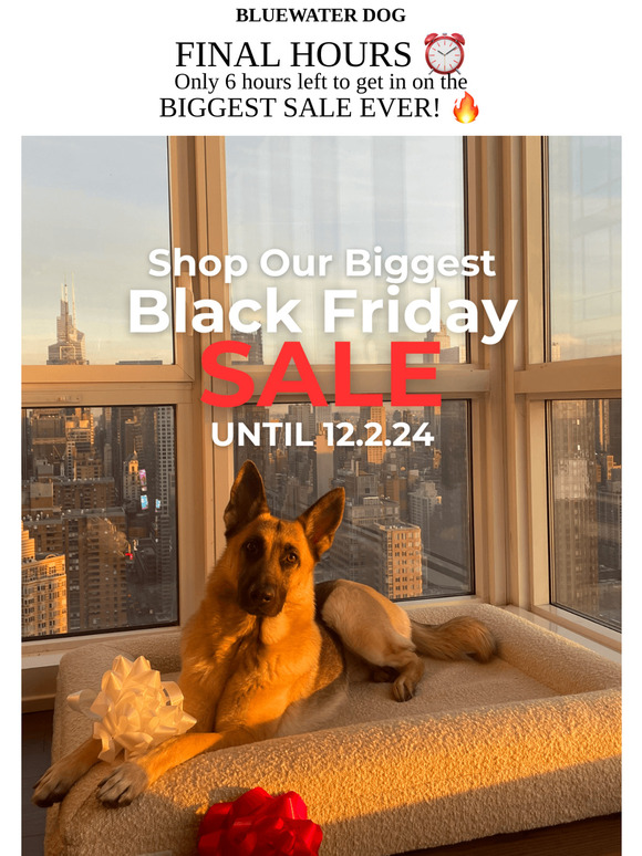 FINAL HOURS of the BIGGEST Sale Ever! ⏰
