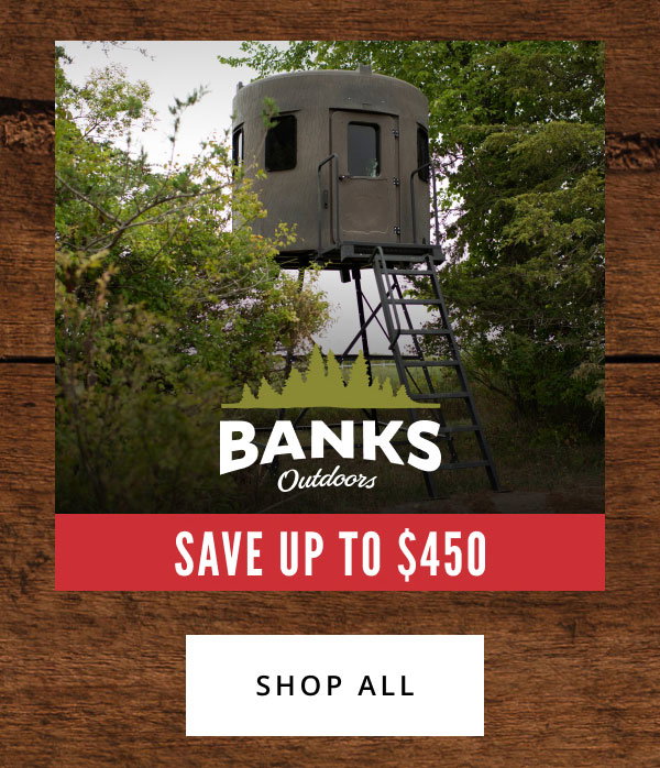 Cyber Savings by Brand