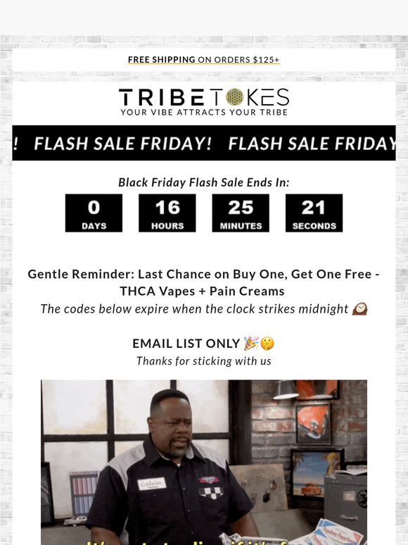 Last Chance ⏰ Black Friday Flash Sale