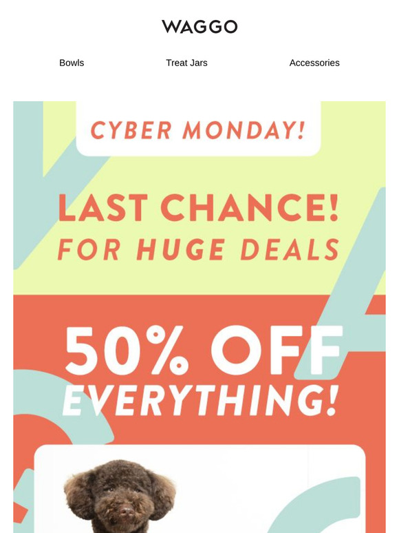 🐶 Fetch 50% OFF TODAY!