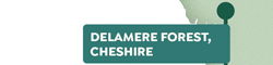 Delamere Forest, Cheshire