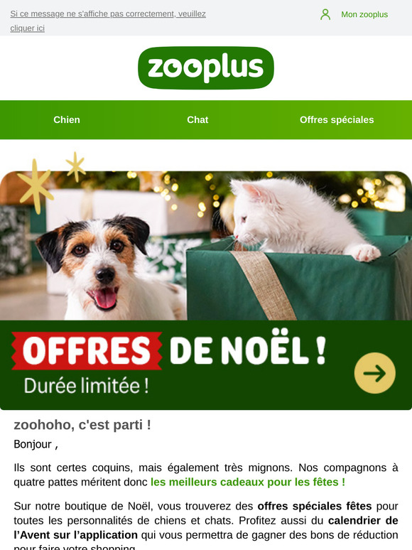 Les offres les plus festives de l'année 🎄