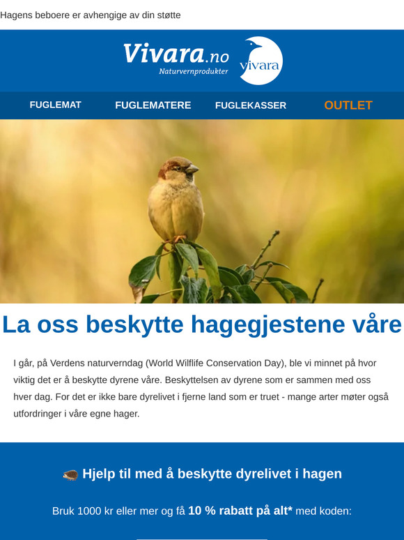 Hvem savner du i hagen din? 🦔🐦🐿️