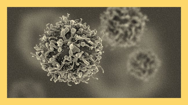 Why scientists are building an atlas of the human body