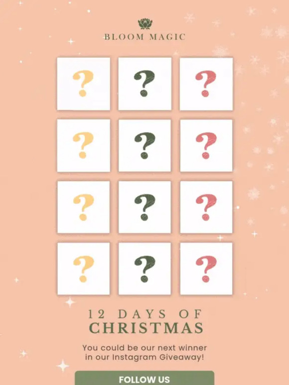 12 days, 12 Winners 🎁✨