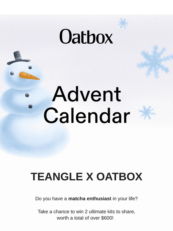 🎅 ADVENT CALENDAR 🎄