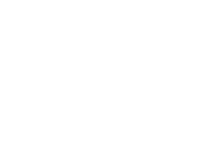 Dc Shoes