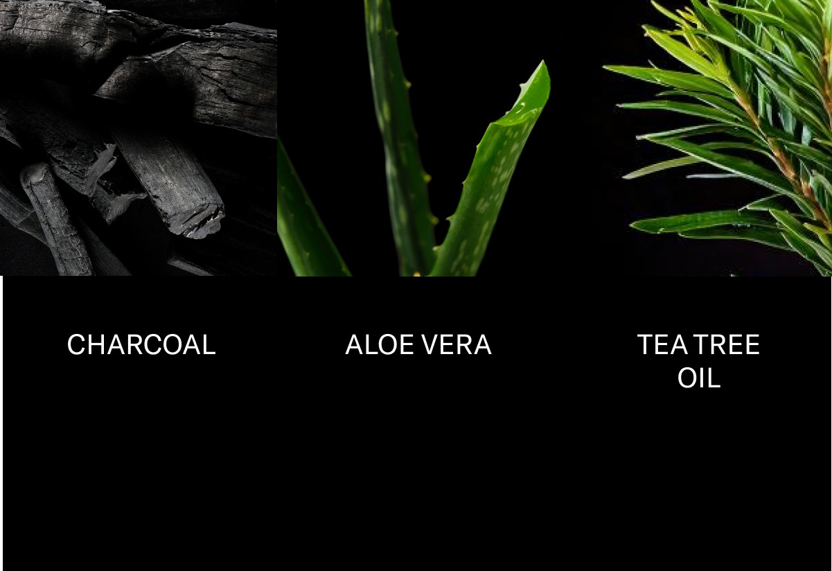 Charcoal Aloe Vera Tea Tree Oil