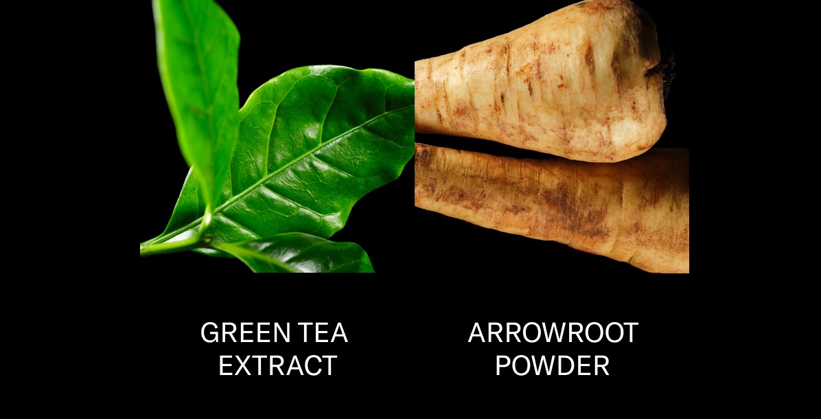 Green Tea Extract Arrowroot Powder