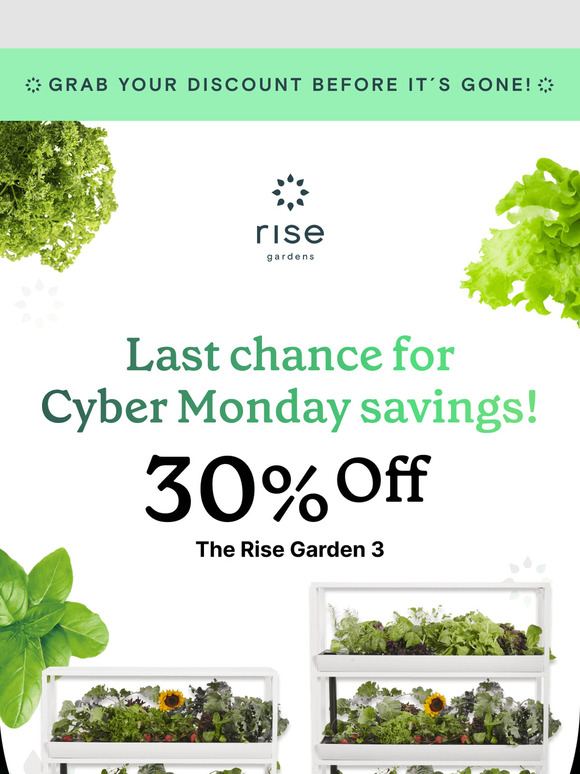 Last Chance: Cyber Monday Savings