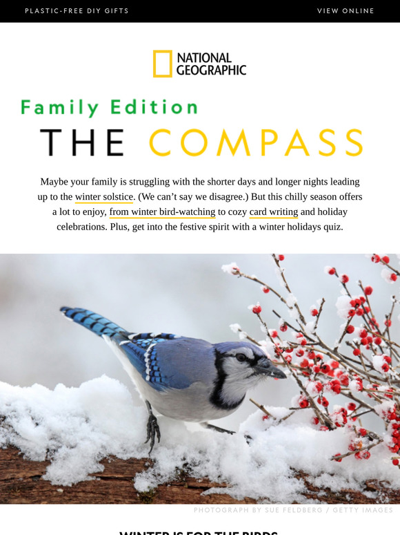 POP QUIZ: Can your kids answer these questions about winter holidays? Plus, cold-weather birding and holiday cards.