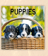 2025 Puppies Calendar