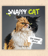 2025 Snappy Cat Calendar