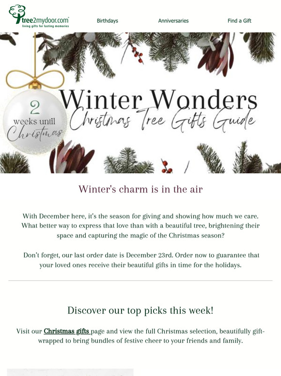 ✨ Unwrap Winter Wonders: Your Christmas Tree Gift Guide Awaits! 🎄