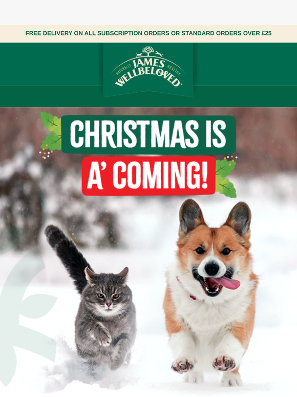 Don’t forget your Christmas gift! 🎁