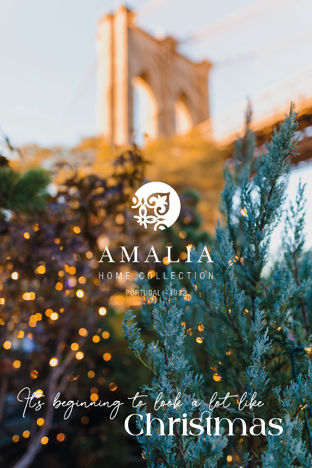 AHC - Christmas