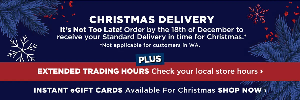 Christmas Delivery