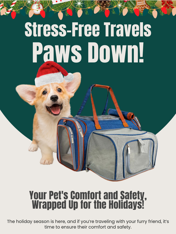 Travel Smart: Holiday Tips for You and Your Pet