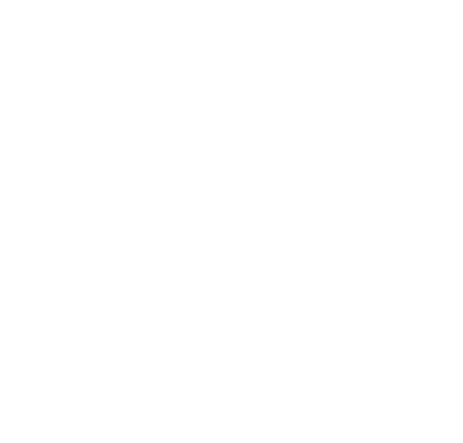 dashboard icon