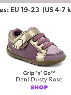 Shop Dani Dusty Rose