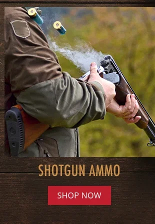 Shotgun Ammo