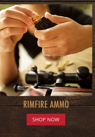 Rimfire Ammo