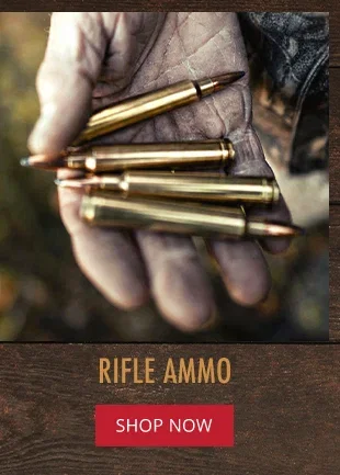 Rifle Ammo