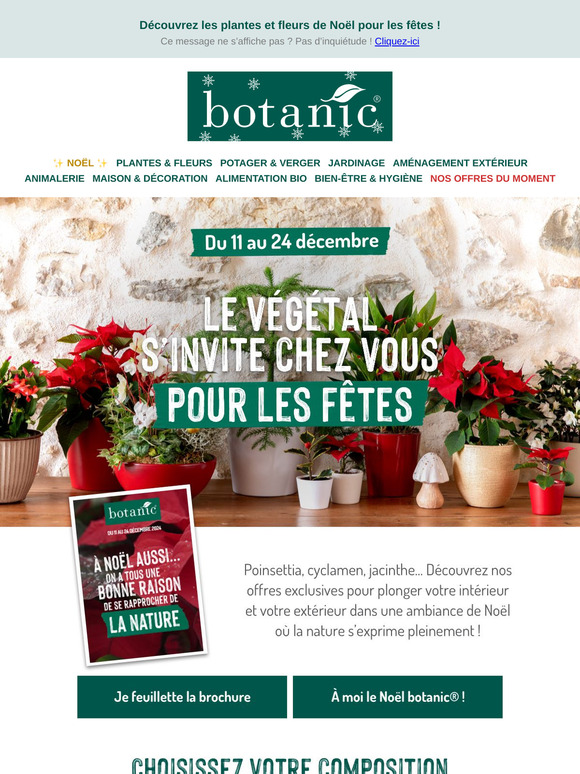 Noël approche à grand pas 🎅🎄