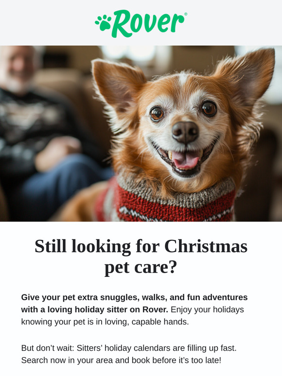 Act fast: Christmas pet care is booking up quick!