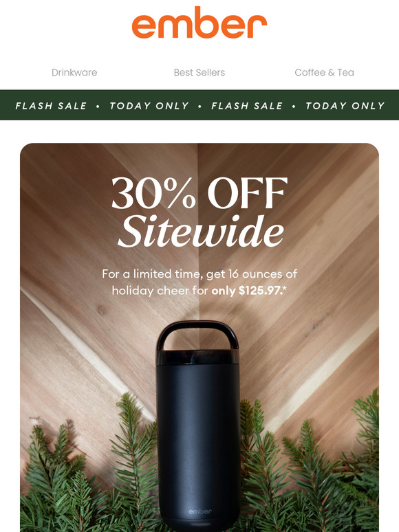 ⚡ Flash Sale! 30% OFF Sitewide